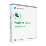 Project Professional 2024